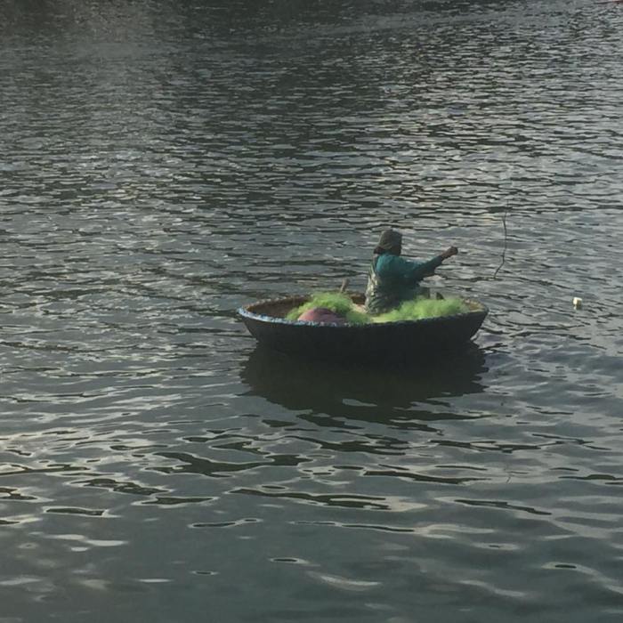 11863267_10207598295381720_2035636252424372016_n