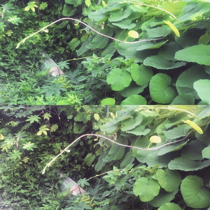 11863277_10207604696621747_8135152634971896669_n