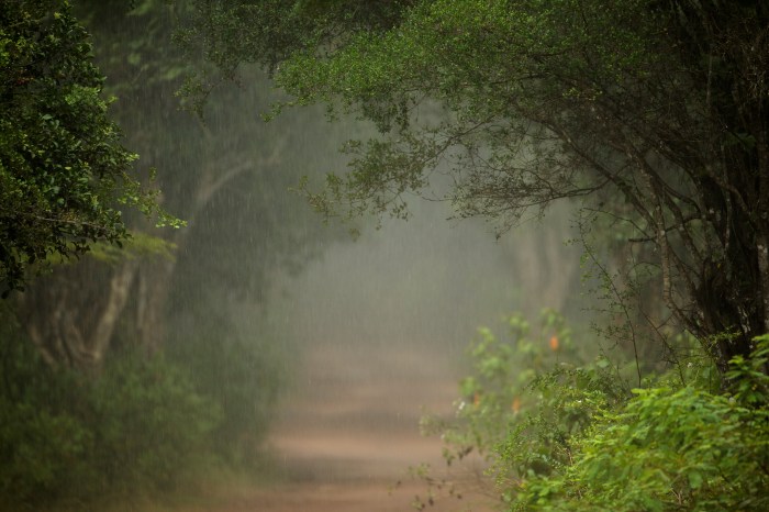 25477704636_db041e3449_o