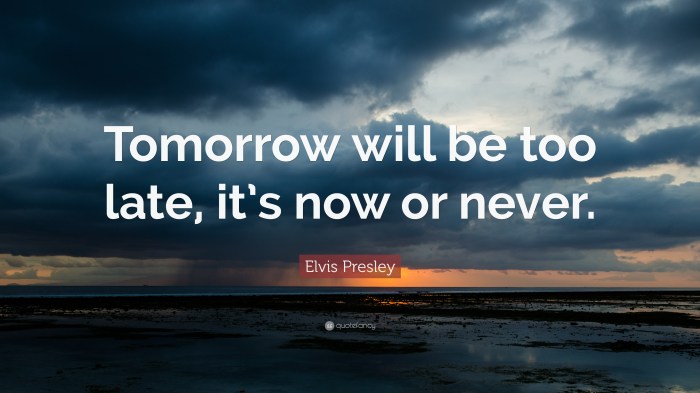 193698-Elvis-Presley-Quote-Tomorrow-will-be-too-late-it-s-now-or-never